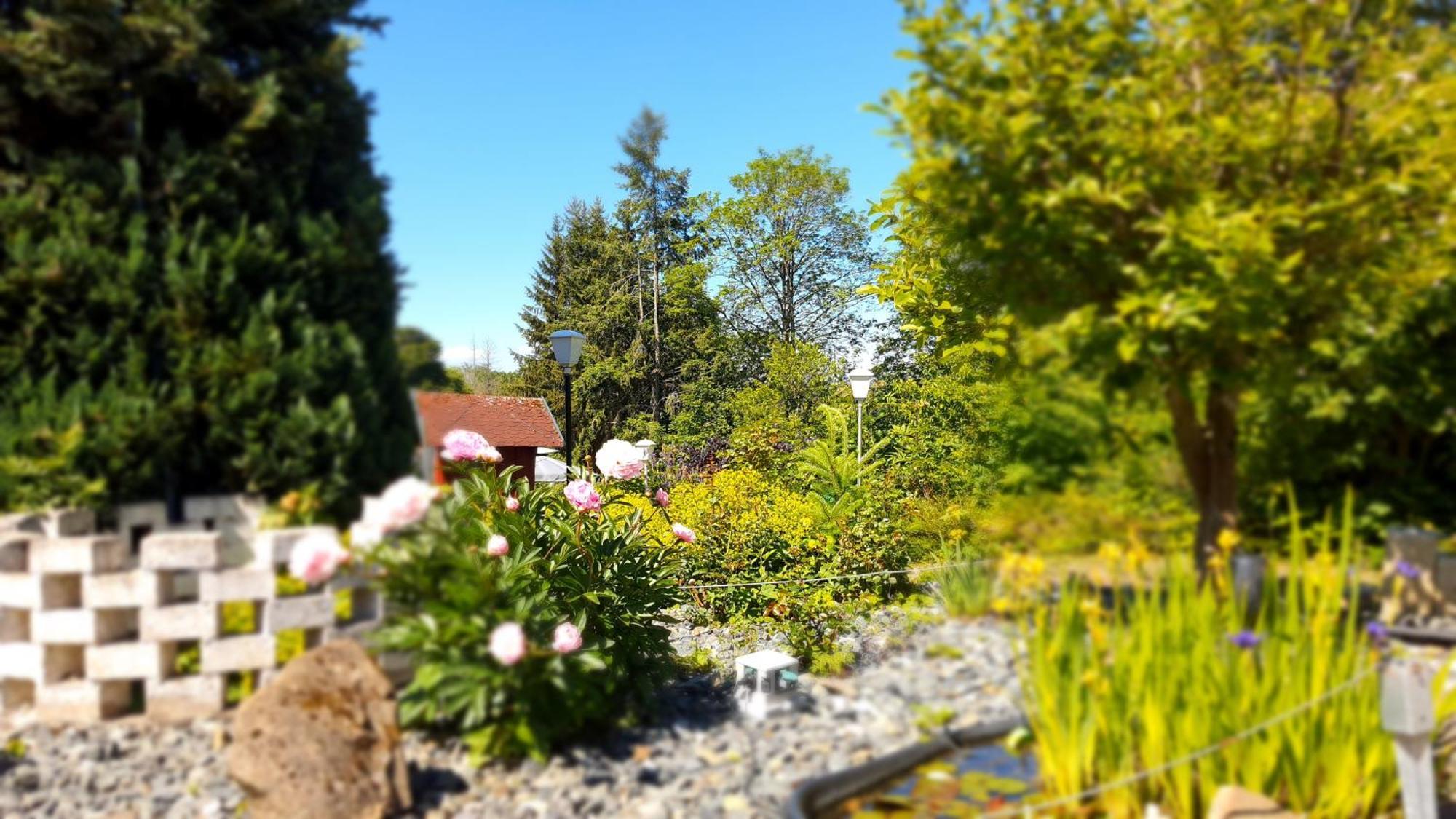 Schneiderhof Hotel Braunlage